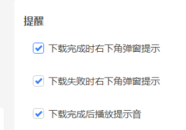 迅雷11如何设置下载失败时弹窗提示？迅雷11设置下载失败时弹窗提示的方法