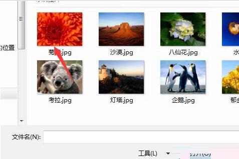 access数据库应用程序图标设置操作过程