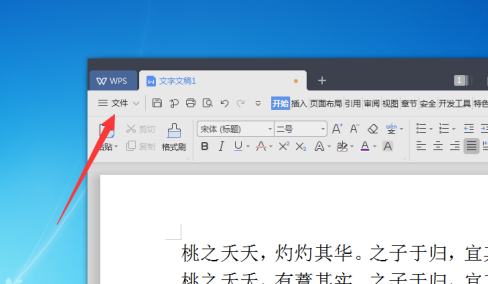 WPS2019文字怎样页面设置？WPS2019文字页面设置的方法