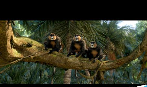 PotPlayer字幕反了的处理办法