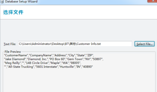 BarTender导入文本文档的图文步骤