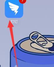 钉钉开启消息直通车功能的方法步骤