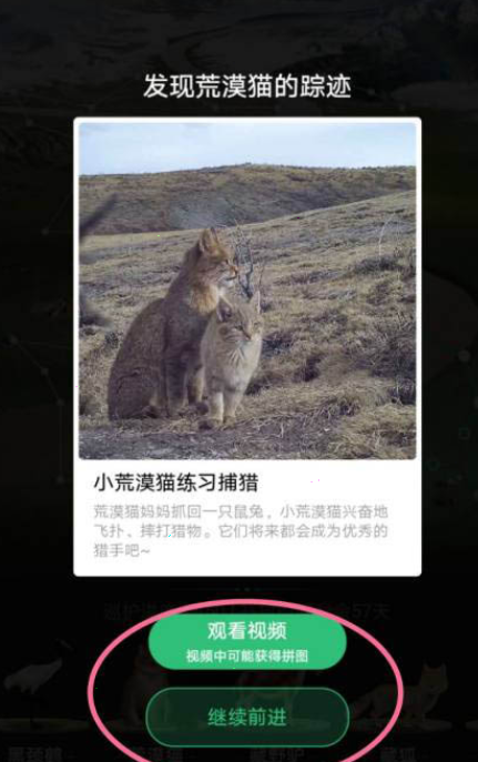 支付宝蚂蚁森林如何开启巡护?支付宝蚂蚁森林巡护开启教程