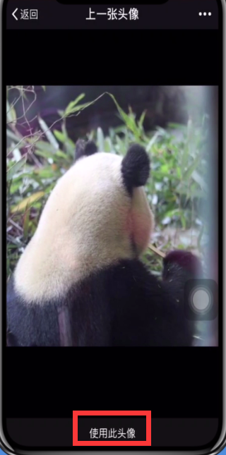 微信中查看恢复以前的头像的操作步骤