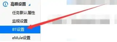 迅雷极速版怎么允许连接DHT网络?迅雷极速版允许连接DHT网络的方法