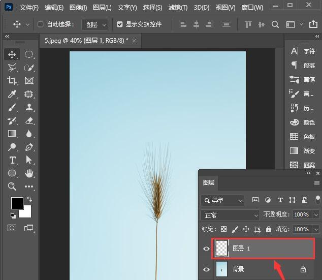 ps2021如何制作铜版雕刻效果?ps2021制作铜版雕刻效果操作方法
