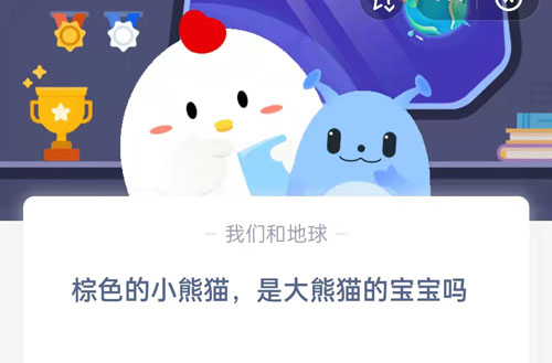 棕色的小熊猫,是大熊猫的宝宝吗?支付宝蚂蚁庄园4月29日答案