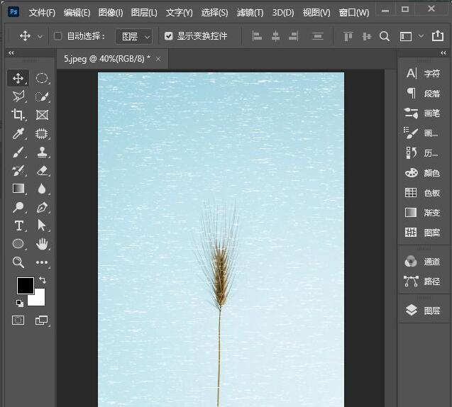 ps2021如何制作铜版雕刻效果?ps2021制作铜版雕刻效果操作方法