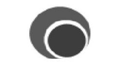 Captura调整语言的操作方法