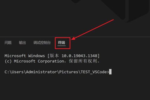 Vscode怎么新建终端?Vscode新建终端教程