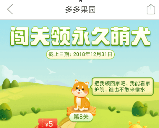 拼多多果园中养狗的具体操作方法