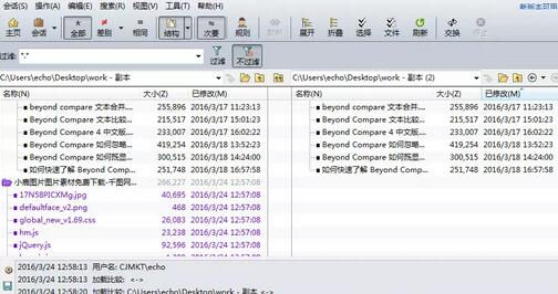 Beyond Compare自定义过滤的详细方法