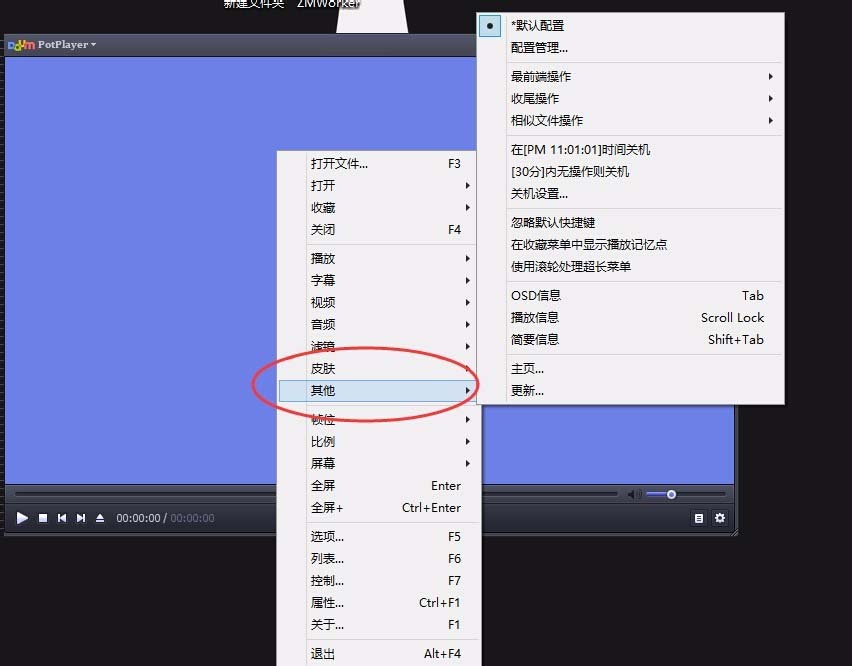 PotPlayer设置为最前端操作的详细操作步骤