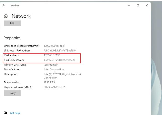 Win11系统如何查看IP地址?Win11系统查看IP地址的方法