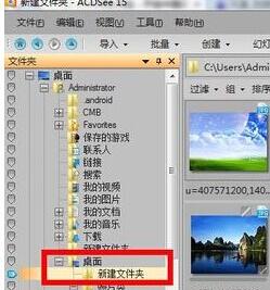 ACDSee批量改变图片大小的操作过程