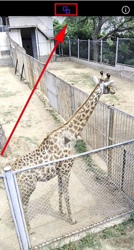 华为nova7pro怎么投屏到电视 华为nova7pro投屏到电视的方法