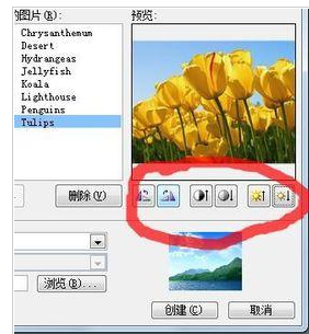 PowerPoint Viewer批量导入照片的详细操作步骤