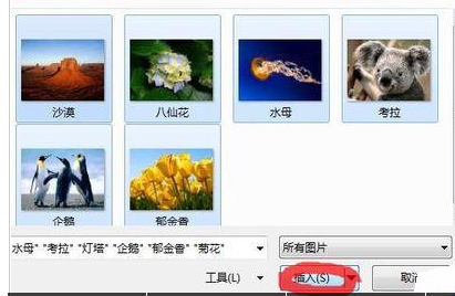 PowerPoint Viewer批量导入照片的详细操作步骤