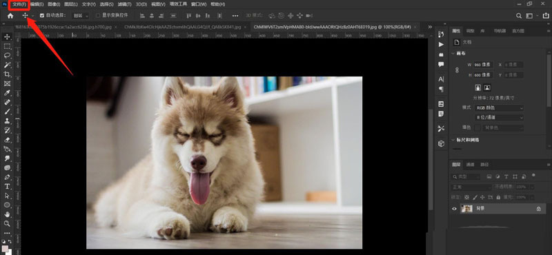 ps像素网格文档怎么新建?ps像素网格文档新建方法
