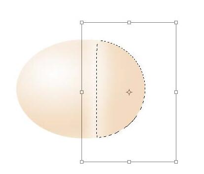 Flash如何制作一个草鸡蛋-Flash制作一个草鸡蛋的方法