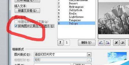 PowerPoint Viewer批量导入照片的详细操作步骤