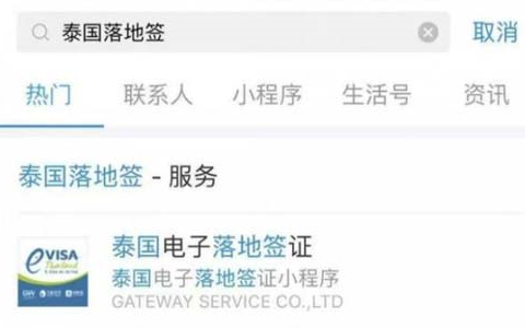 支付宝办理泰国电子落地签的操作教程
