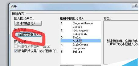 PowerPoint Viewer批量导入照片的详细操作步骤