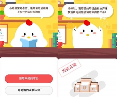 通常葡萄酒瓶身上标注的年份指的是什么？蚂蚁庄园11月11日小课堂答案