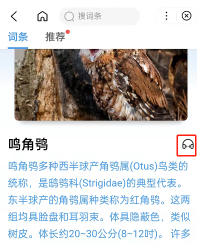 百度百科怎么设置后台播放?百度启用百科悬浮窗模式方法