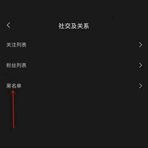 剪映黑名单怎么查看?剪映黑名单查看教程