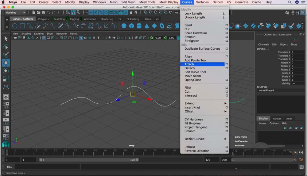 maya多条曲线合为一条曲线的操作方法