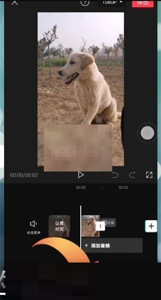 剪映怎么设置贴纸跟随?剪映贴纸跟随设置教程