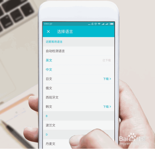 如何使用有道翻译官原图模式进行翻译？