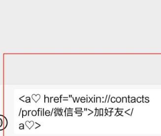 微信上使用代码加好友的详细方法