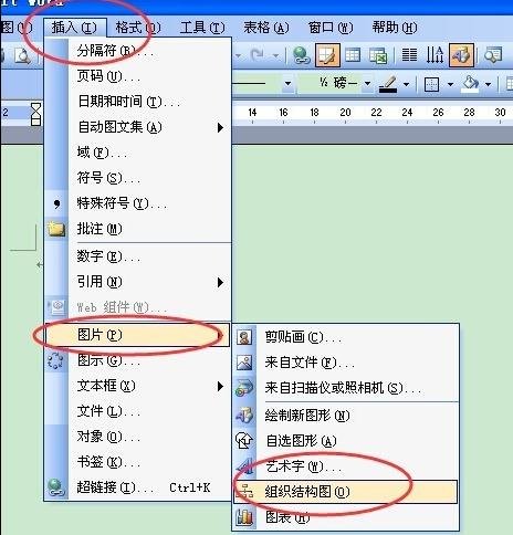 Microsoft Office 2003绘制组织结构图的操作步骤