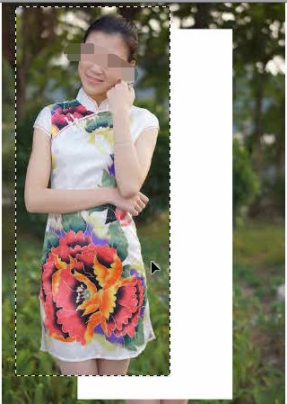 photoshop cs6移动选区内图像的基础操作步骤