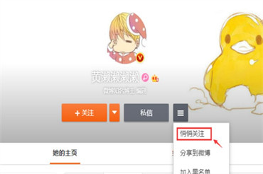 微博请关注的人可以隐藏吗