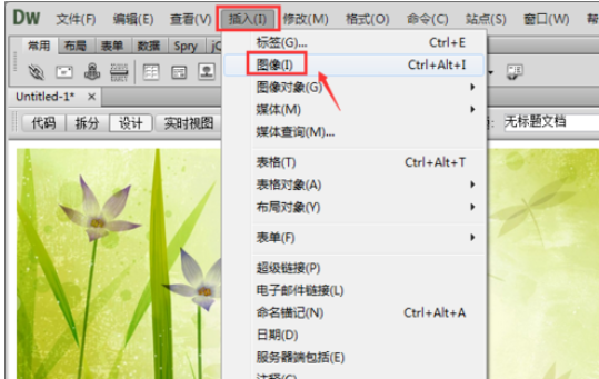 dreamweaver cs6中插入图片的详细操作步骤