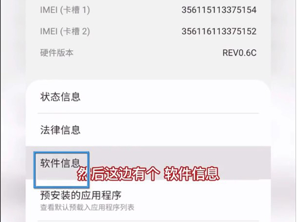 三星s21如何进入开发者模式?三星s21进入开发者模式的方法