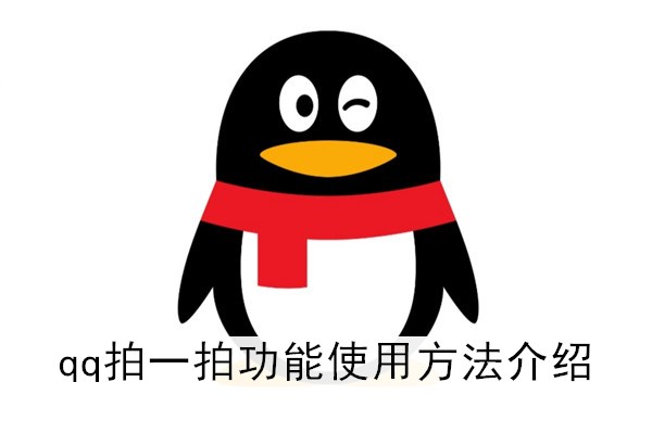 新版QQ拍一拍功能怎么用怎么设置文字？QQ拍一拍功能怎么没有？