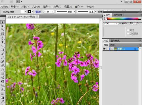 AI怎么给图片添加喷色描边特效?AI给图片添加喷色描边特效教程