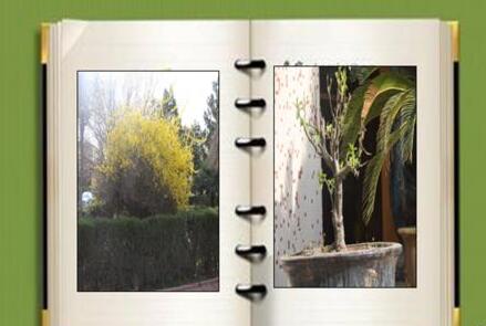 PPT制作翻动相册的操作步骤