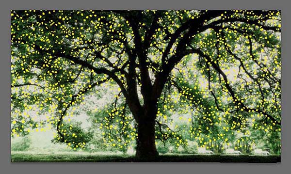 Adobe Photoshop为大树添加斑点光源的操作方法