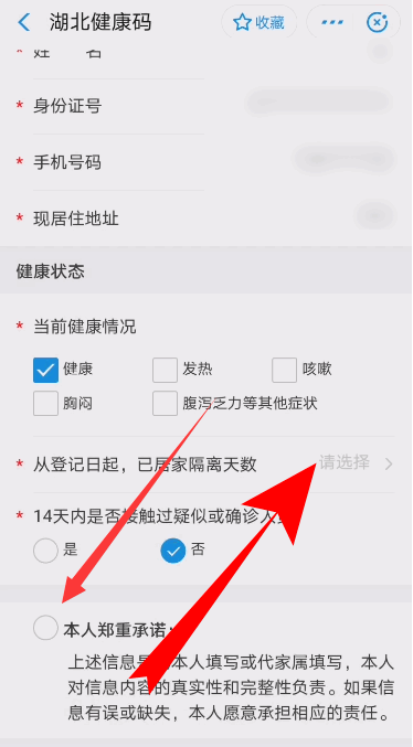支付宝湖北健康码详情分享