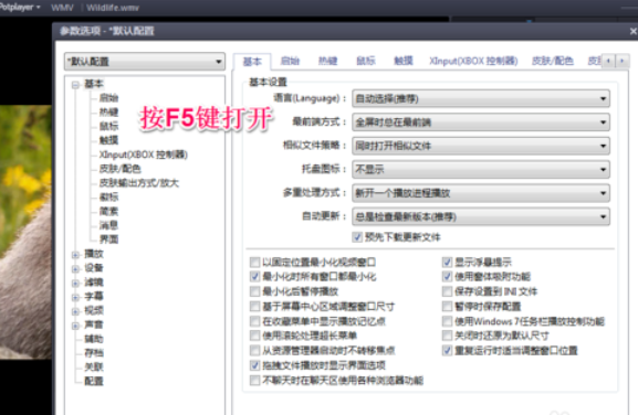 PotPlayer设置最前端的操作教程