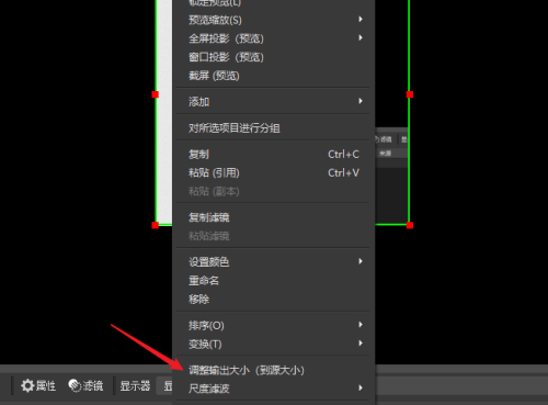 OBS Studio怎么选择录屏区域？OBS Studio选择录屏区域教程