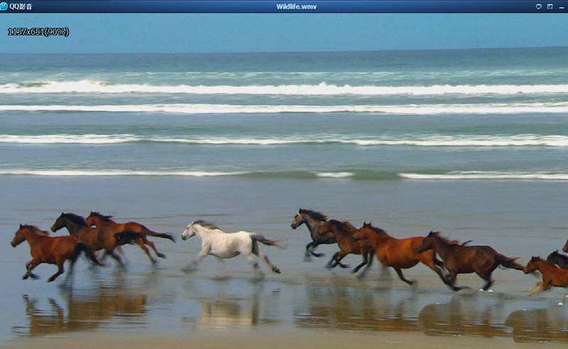 QQ影音中打开本地视频的方法介绍