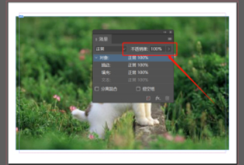 Indesign如何调整对象透明度?Indesign调整对象透明度教程