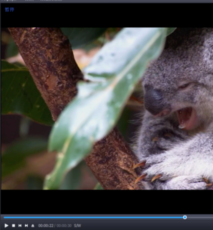 PotPlayer设置最前端的操作教程