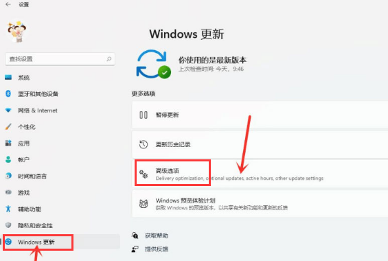 Windows11怎么开放资源共享？Windows11打开传递优化功能教程
